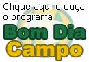 Bom Dia Campo